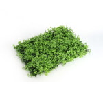 청평 벽장식 인조잔디 미나리 새싹잔디볼 플랜테리어 : 청평상회