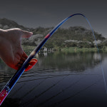 조자룡 영웅 민물낚싯대 대물 E세트 : 체리피시