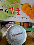 제주 노지 성전귤 9kg 확실한 당도 산지직송 무료배송 도착보증. : 제주 지우네 농장