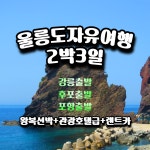 강릉/후포/포항 울릉도 2박3일 자유여행(선박+숙박+렌터카) : 한국드림관광
