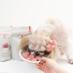 펫츠그린 동결건조 건강간식 5종 닭고기, 35g, 1개 : 펫츠그린