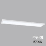 비츠온 T슬림엣지 평판등 거실조명 주광색(5700K) 30W, 960x180mm : LED몰 동방