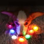 강아지 LED 목걸이 야광 펜던트 인식표 라이트 야간 불빛 밤 산책 : 큰강아지