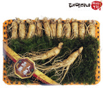 인삼 수삼선물세트 12-15뿌리 (750g) : 대명이네인삼농장