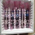FAULHABER 폰 허블 모터 3863.G0620 3863A036C IE3-1024L 382S 141 : 미주스세