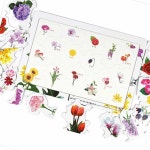 판다쇼핑몰 인지향상퍼즐 17조각 아름다운꽃 실버교구 치매 교구 예방 게임 효도 퍼즐 재미 : 판다쇼핑몰A