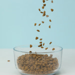 더 퍼펙트밀 어덜트 독 900g 오리 가수분해 강아지 성견사료 : 더퍼팩트코리아