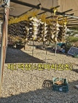 실속형  진짜비린네1도없는 옥천솔내음굴비 대10미(28cm내외) 비늘과 내장이 제거되었슴니다 : 떡판들산골생선