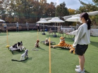 [바니버니][일산/파주] 애견학교 1:1 개인레슨 : 애견학교 바니버니