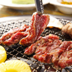[농협안심한우] 한우 제비추리 500g / 로스구이 / 1등급 1+ 1++ : 별난푸줏간