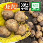 감자 제주 유기농 국내산 햇 알감자 특감자 3, 5, 10kg내외 : 로깅