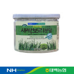 [태백농협] 프리미엄 새싹보리분말 150g (국산100%) (8803306603775) : 서울서남부농협하나로마트