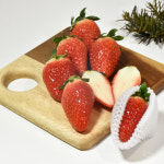 새벽수확 산지직송 논산 킹스베리 딸기 500g 대왕딸기 생딸기 제철과일 : 유앤티커머스