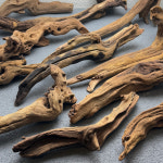 맹그로브 어항 활착 유목 수족관 레이아웃 나무 (가지타입) 랜덤 1PCS : 수초화원