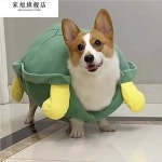 중형견 거북이옷 티셔츠 고양이 고양이거북이옷 강아지 강아지옷 반려동물 쿠션조끼 9 여름 얇은 스타일 랜덤 거북이 변신 : 거북모올