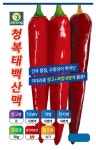 청복태백산맥 고추 1.200립 중조생종 극대과종 탄저병 역병 칼라병에... 수량성 건과품질 우수한 매운맛 고추 씨앗 다농 : 정산흥농종묘농약사