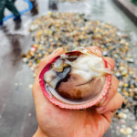 여수 새조개 남당항 샤브샤브 손질 1.5kg 손질후 200g이상 : 자연애수산