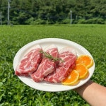 제주 보리맛돈 목살 : 보리포크마켓