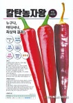 칼라병 역병 바이러스에 강한 복합내병계 건과품질이 우수하고 재배 용이 작황이 안정적인 매운맛 고추씨앗 현대종묘 : 정산흥농종묘농약사