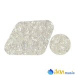 797374 LP 스타일 브래킷 교체용 뒤꿈치 교체용 도트 기타 : 미주포치