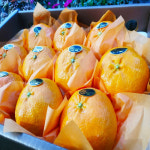 [농장직송] 청정제주 프리미엄 고당도 레드향 : 스토리웰빙