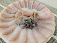 국내산 흑산도 홍어 500g 홍어애 무침 1kg : 자연애수산