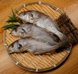 국내산 천일염으로 염장한 여수 백조기 굴비 10미 1.8kg/역걸이 : 태영수산물