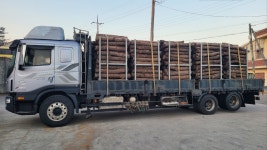 표고접종목10개 배양목 개인 태양광발전소 등 전자계산서발행 및 컨설팅 : 버섯종균NO.1 머쉬타운