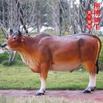 모형 동물원 조형물 한우고기 전시 A형 정육점 축제 농장 캐릭터 한우 대형 소모형 소농장 트럼펫 황소 60 19 39cm : 루미shop