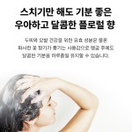 신남 감계모량 샴푸 500ml 제주 감태 계피 천연샴푸 플로럴향 두피케어 모발강화 한밭대 : 캣파워