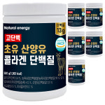웰핏 고단백 산양유 단백질 쉐이크 분말 초유 파우더 가루 대용량 500g, 6개 : 99VITAL