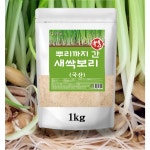 새싹 보리 어린잎 분말 1kg 뿌리까지 보리새싹 가루 효능 요리 제빵 제과 칼국수 대용량 : 행복N쇼핑