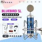 블루 블루버드 SL 마이크 콘덴서 보컬 홈레코딩 : 행쇼물류07