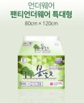 봄날애 팬티언더웨어 (특대형L~XL)- 10개 남녀공용 : 헬로엔터