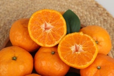 영희네감귤농장 제주 남원 고당도 레드향 3kg,5kg 명절선물 : 제주 영희네 감귤농장