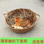 메추리 산란 닭산란장 35X40 오리 둥지 야외 밀집 I33 병아리 바구니 볏집 하우스 작은 사이즈 하나 : 스페로-스페라