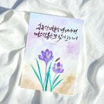 부산 캘리그라피 취미 붓펜캘리 수채화캘리 자격증 : 제제캘리그라피