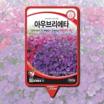 꽃씨 아우브리에타 씨앗 200립 오브리에타 : 하우투팜