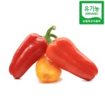 유기농 못난이 채소 미니 파프리카 1kg : 내가 살게요