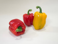 산지직송 동그란 파프리카 3kg, 1개 : MOMOFARM