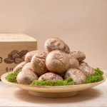 [솔바람농원]생표고버섯 가정용1kg, 2kg 내장산 무농약 : 표고농장 솔바람