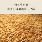 곡물도감 카무트 귀리 가득 고칼슘 무가당 칼슘 고단백  오트밀크 두유 180ml, 15개 : 곡물도감