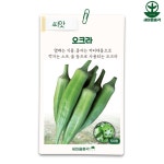 다농 오크라씨앗 50립 청 레이디핑거 종자 : 새마을총각