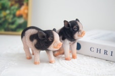 리얼 부자돼지 두마리 한쌍 실물 돼지 장식품 : 예쁜 너에게