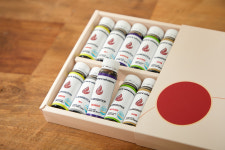 정기구독20입세트 통영 유명 카페 일랑더치 고농도 더치커피 앰플 선물세트 콜드브루 원액 : 일랑더치