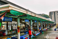 KTX 강원도 가볼만한 곳 해안선열차 강릉 정동진 동해 묵호 당일치기 코레일 기차여행 : 기차는여행