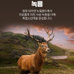 대웅 토종흑염소진액 국내산 흙염소효능 흑염소즙 30포 : 헬씨위아