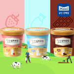 상하목장 유기농 아이스크림 밀크 파인트(474ml) 2개 우유맛 떠먹는 아이스크림 : 매일유업공식대리점
