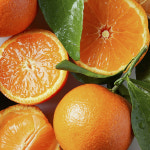 큐티스 고당도 만다린 감귤 큐티 만다린귤 cuties 캘리포니아산 오렌지 : 어디든 과일