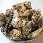국내산 통영 생굴 1kg 석화 3kg 5kg 10kg : 스마트연쇄점